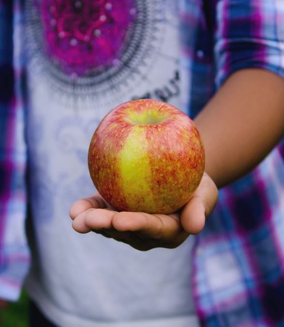 Barn håller fram ett äpple